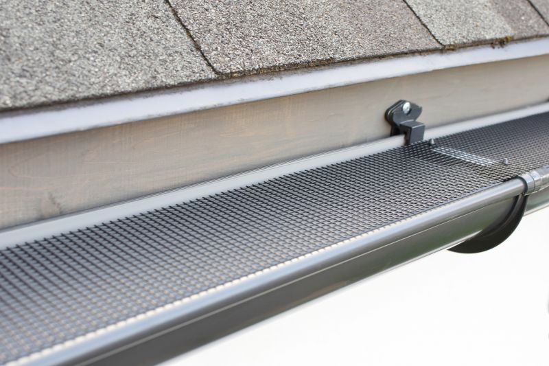 Stainless Steel Gutter Service
