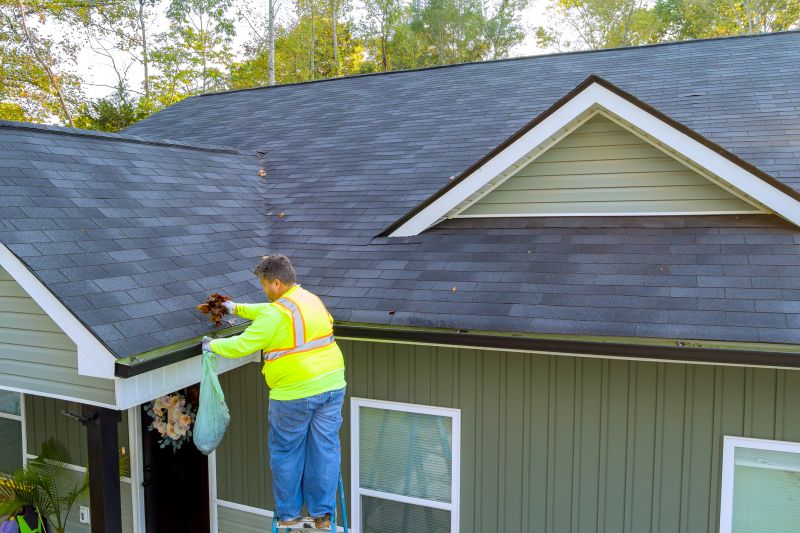 Gutter System Inspection