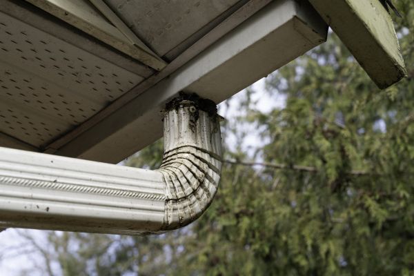 Cost of Roof Drain Replacement in Independence